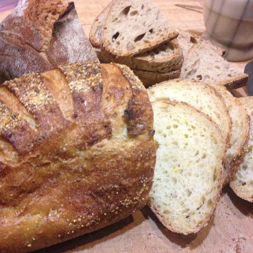 In the front is Red Hen bread with Quebec flour and Geechie Boy polenta. In the back is a loaf made from Tom, a variety trailed at the Farm Hub -- baked by Sharon Burns Leader and devoured by me!